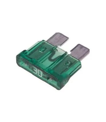 Fusible 30 Amp