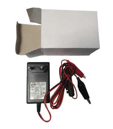 Chargeur régulateur pour batterie 12V